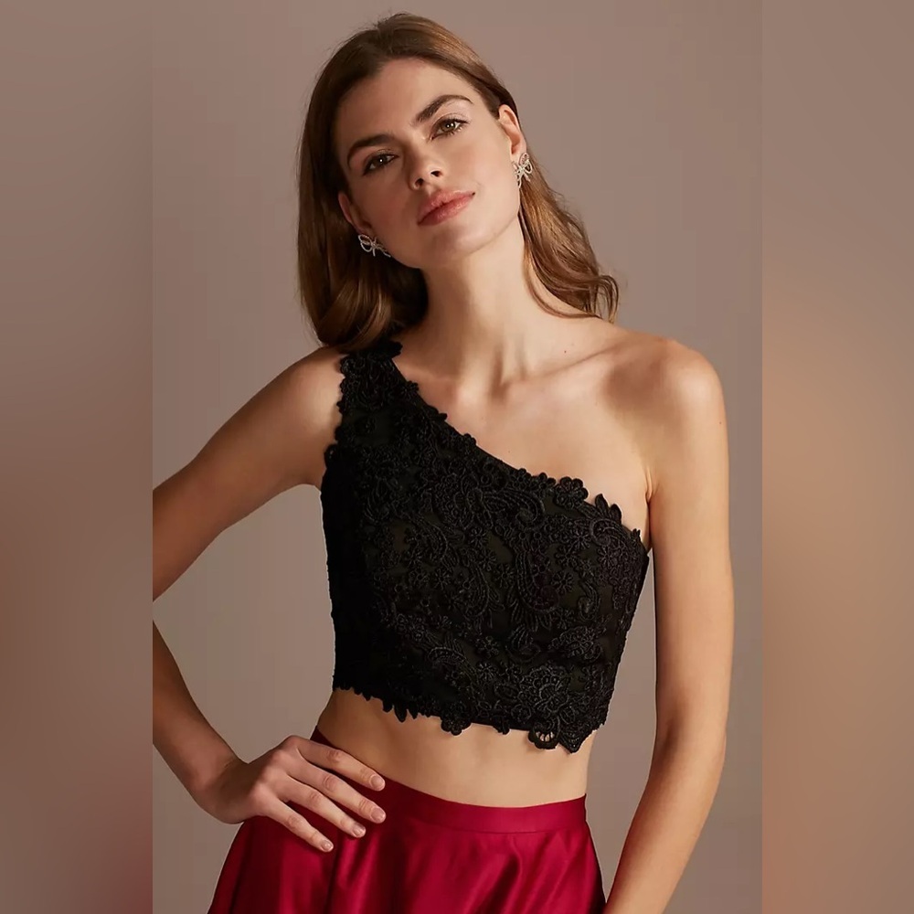 NWT David's Bridal Asymmetrical Black Lace Crop Top